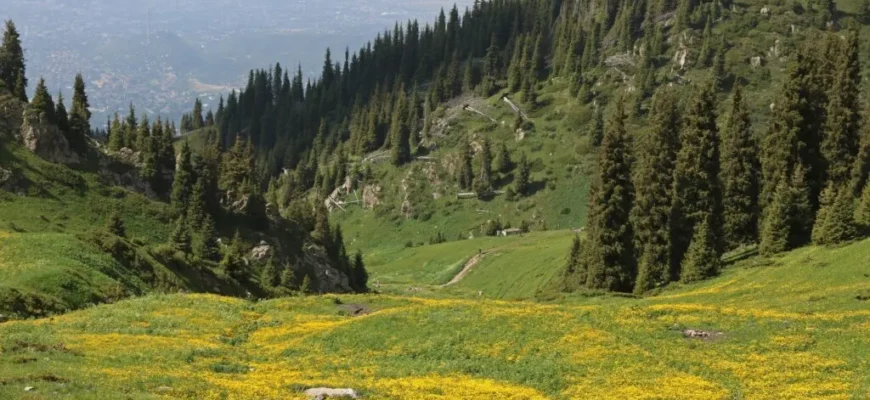 Kok Zhailau Plateau trail above Almaty with alpine meadows, elevation gain views and Ile-Alatau National Park skyline
